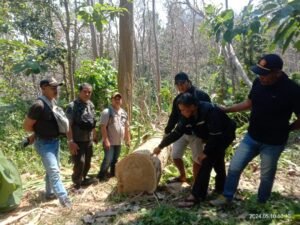 Polisi Tangkap Pelaku Pencurian Kayu Jati di Hutan Kabupaten Malang