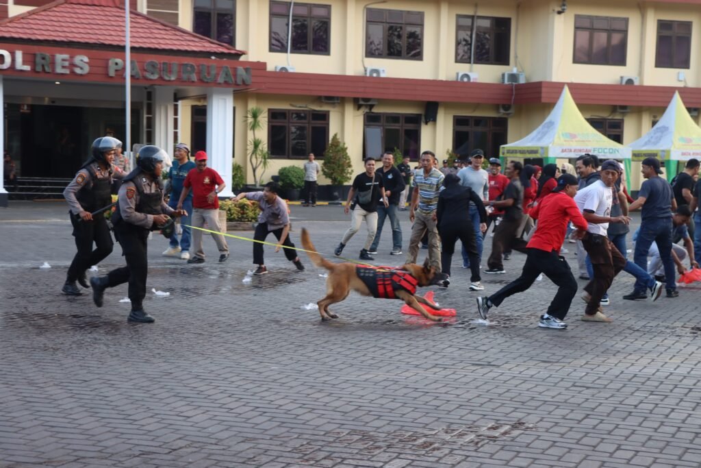 IMG-20240720-WA0026