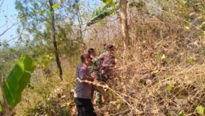 Polisi Bersama TNI dan Relawan Berhasil Padamkan Kebakaran di Gunung Liliran Ngawi