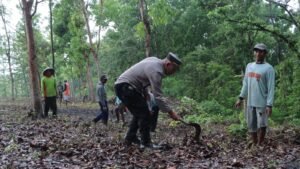 Polres Nganjuk Buka 4 Hektare Lahan Penanaman Jagung Dukung Program Ketahanan Pangan Nasional