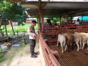 Dukung Ketahanan Pangan, Polsek Ngadiluwih Lakukan Pengecekan P2L