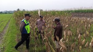 Dukung Ketahanan Pangan, Polisi Kediri Dialogis dengan Petani