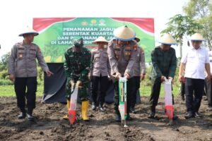 Mendukung Progam Ketahanan Pangan, Kapolres Mojokerto Kota adakan Penanaman Jagung Serentak Kuartal III Di Lahan Seluas 1 hektar