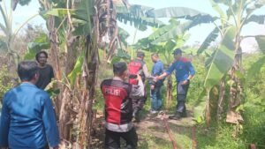 Polsek Krian dan Damkar Berkolaborasi Padamkan Kebakaran Lahan