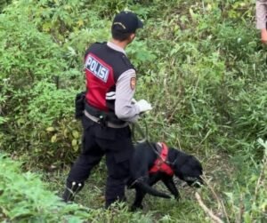 Berkat Anjing Unit K-9 Polda Jatim Indentitas Korban Mutilasi Pacet Berhasil Terungkap