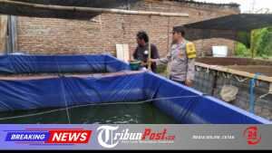 Polres Ngawi Gelorakan Swasembada Pangan, Dampingi Warga Budidaya Ikan Lele