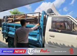 Polres Malang Ungkap Pembalakan Hutan, Truk Bermuatan Kayu Diamankan