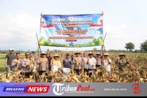 Kapolres Kediri Ikuti Panen Raya Jagung Serentak Kuartal II Tahun 2026