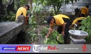 IMG-20260608-WA0021
