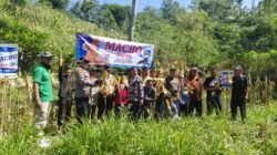 Polres Pacitan Genjot Produktivitas Jagung di Bandar, Dampingi Petani dan Evaluasi Kualitas Benih