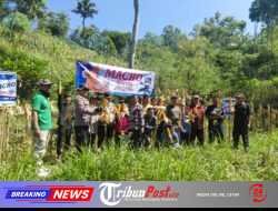 Polres Pacitan Genjot Produktivitas Jagung di Bandar, Dampingi Petani dan Evaluasi Kualitas Benih