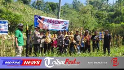 Polres Pacitan Genjot Produktivitas Jagung di Bandar, Dampingi Petani dan Evaluasi Kualitas Benih