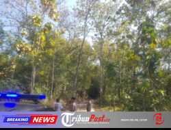 Polres Trenggalek Tingkatkan Patroli Kawasan Hutan Cegah Karhutla