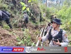 Polres Magetan dan Perhutani Perkuat Mitigasi Karhutla di Cemorosewu, Bangun Ilaran Api Sejauh 1,8 Km
