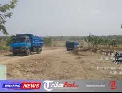 Aktivitas Tambang (Galian C) Ilegal Beroperasi Tanpa Izin di Kecamatan WriginAnom,Desa Kesamben Kulon” Gresik ​
