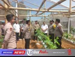 Polres Blitar Komitmen Kawal Swasembada Pangan Melalui Pemanfaatan Lahan Produktif