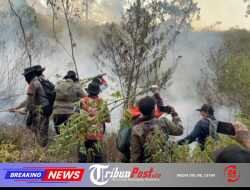 Polres Batu Terjunkan Personel Tangani Karhutla di Gunung Buthak dan Sterilisasi Jalur Pendakian Panderman