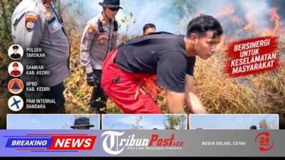 Kebakaran Lahan SDHI Dekat Bandara Dhoho di Tengah Angin Kencang, Polsek Tarokan-Damkar-BPBD Berjibaku Jinakkan Api hingga Sisir Bara