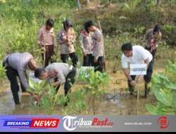 Ecology Policing : Polres Trenggalek Tanam Mangrove dan Lepas Liarkan Ratusan Tukik