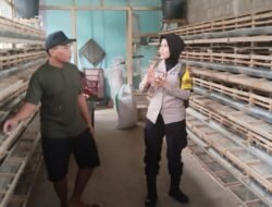 Jaga Produksi Peternak Puyuh, Polsek Kepung Perkuat Ketahanan Pangan