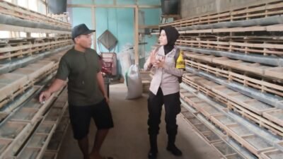 Jaga Produksi Peternak Puyuh, Polsek Kepung Perkuat Ketahanan Pangan