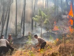 Polres Ponorogo dan Tim Gabungan Tembus Medan Curam Lereng Gunung Limas Padamkan Api Karhutla