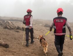Unit Polsatwa Ditsamapta Polda Sumbar Turunkan K9 Spesifikasi SAR Telusuri Jalur Air Bah