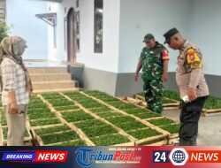 Polsek Gurah Dorong Ketepatan Perawatan Jagung di Desa Tiru Lor