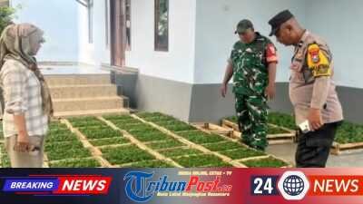Polsek Gurah Dorong Ketepatan Perawatan Jagung di Desa Tiru Lor