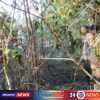 Akses Sempit Tak Halangi Petugas dan Warga Padamkan Kebakaran Lahan di Sidomulyo