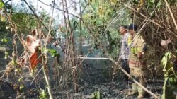 Akses Sempit Tak Halangi Petugas dan Warga Padamkan Kebakaran Lahan di Sidomulyo