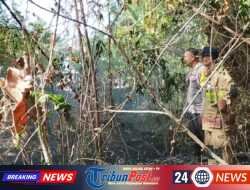 Akses Sempit Tak Halangi Petugas dan Warga Padamkan Kebakaran Lahan di Sidomulyo