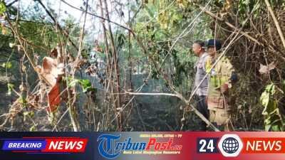 Akses Sempit Tak Halangi Petugas dan Warga Padamkan Kebakaran Lahan di Sidomulyo