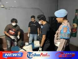 Perangi Narkoba, Polres Kubar Bersama BNK Perketat Pengawasan Tempat Hiburan Malam