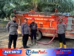 Polresta IKN dan Damkar Maridan Padamkan Karhutla di Pemaluan, Lanjutkan Pendinginan
