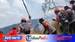 Polda Jatim dan Tim Gabungan Tangani Karhutla Gunung Arjuno Sisir 4 Wilayah