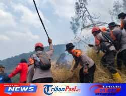 Polda Jatim dan Tim Gabungan Tangani Karhutla Gunung Arjuno Sisir 4 Wilayah